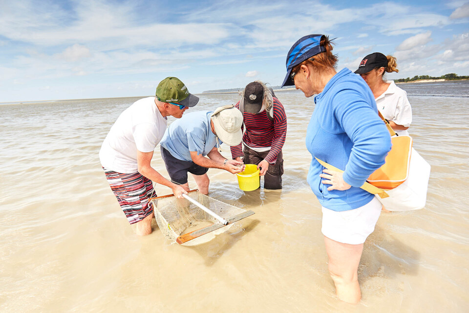 Bec-d'Andaine_dunes_plage_peche
