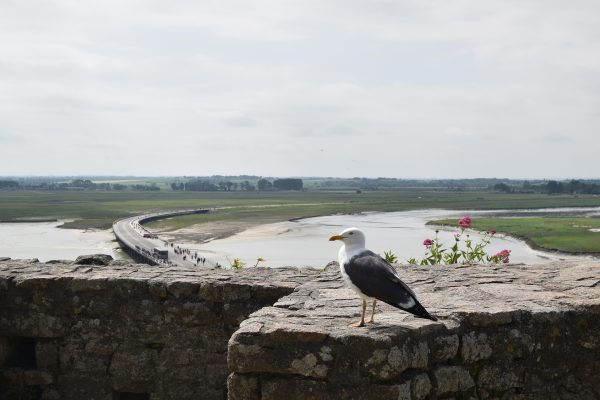 Météo au Mont Saint-Michel