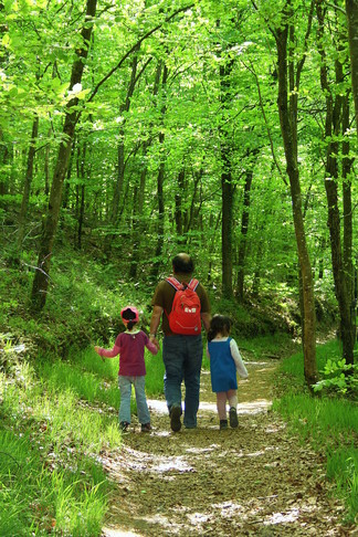 La Forêt de Villecartier, espace à vivre