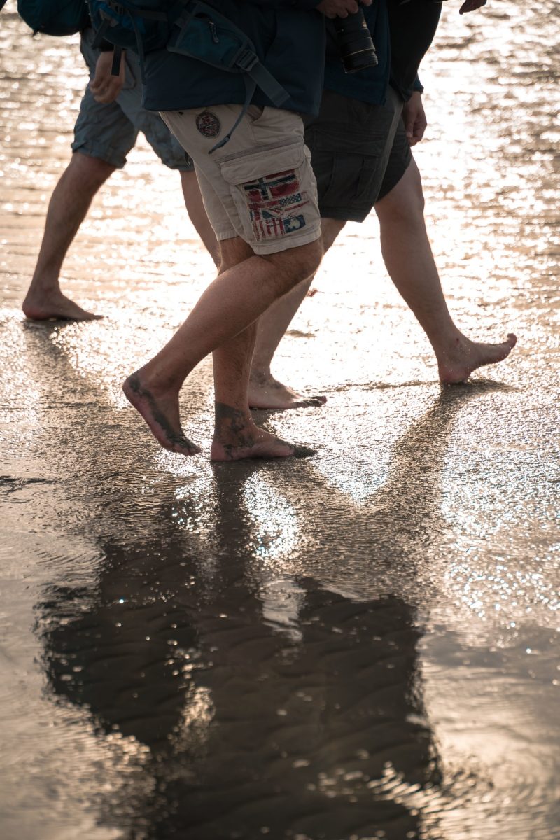 Traversées de la Baie