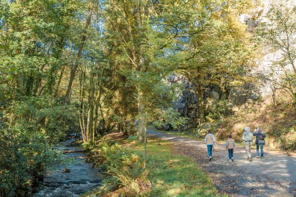 Itinérance et traversées de la Baie