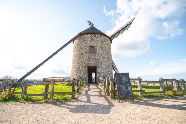 Visites techniques des productions locales