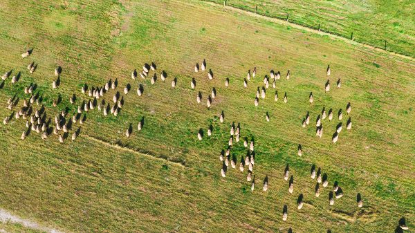 Boutiques de produits du terroir
