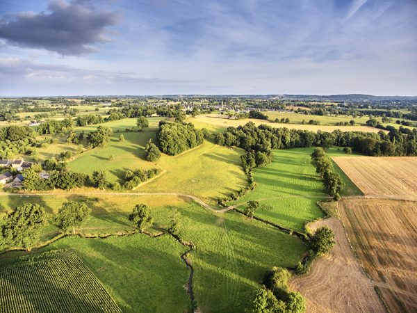 Excursion à la journée