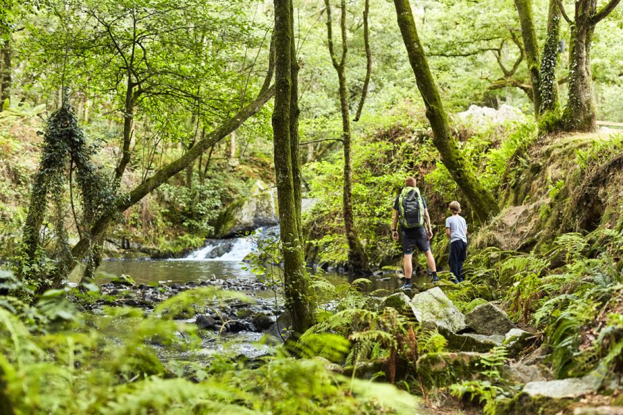 Itinéraires de vitalité