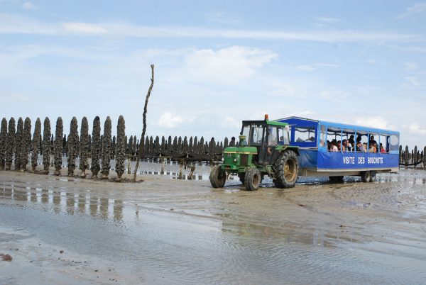 Maison de la Baie – Centre de découverte de la Baie du Mont Saint-Michel