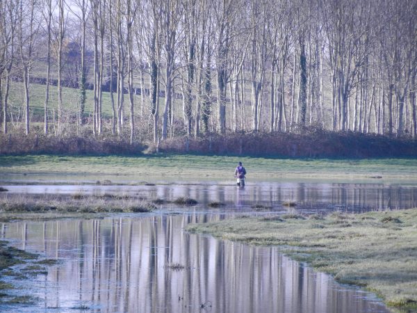 Le Marais de Sougéal