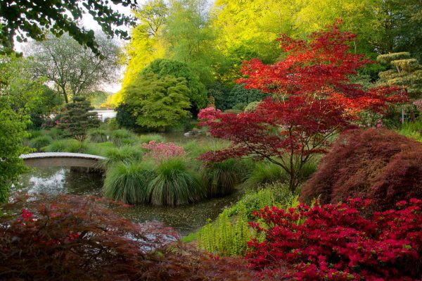 Parc Botanique de Haute Bretagne