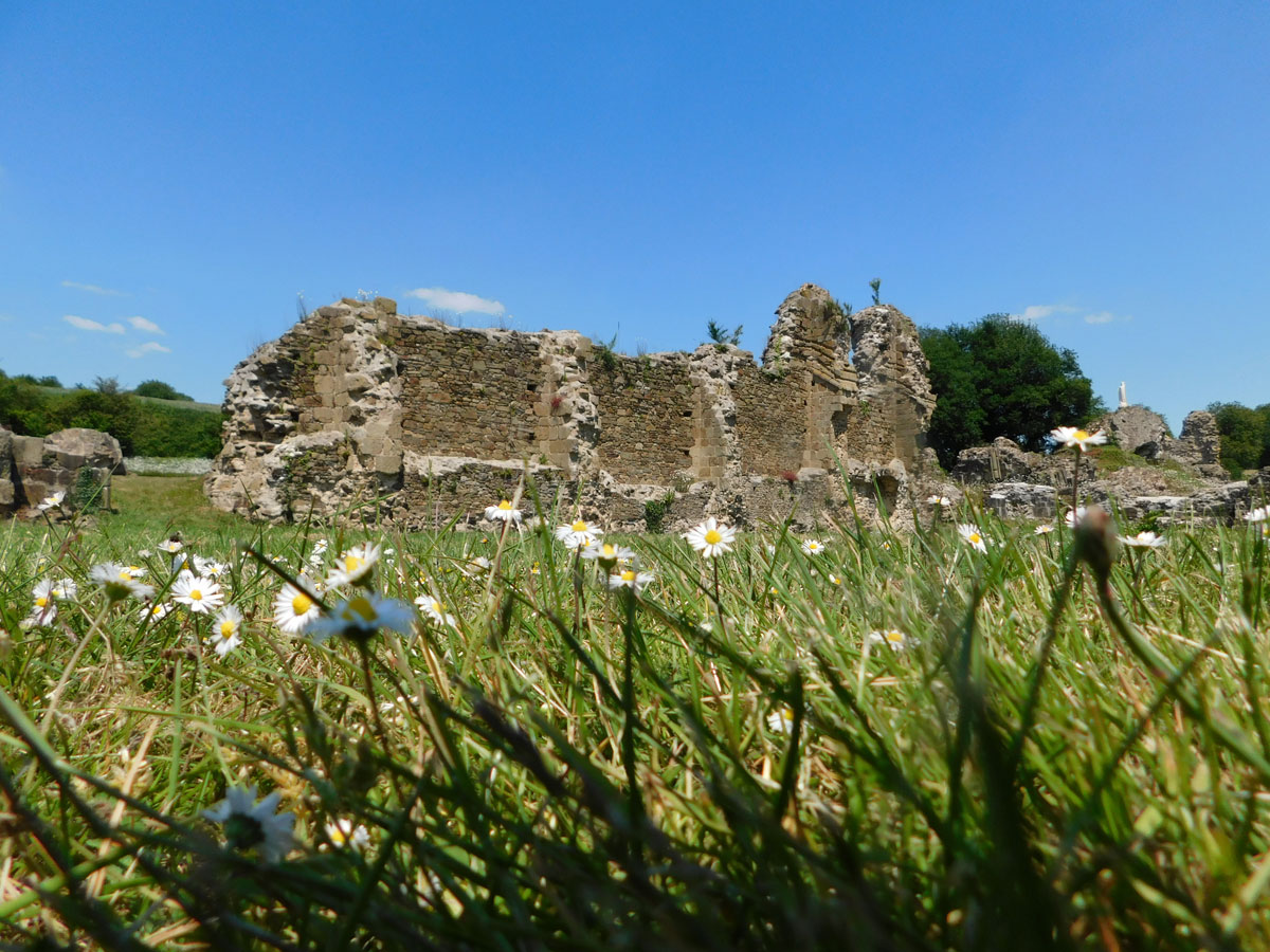 Mur abbatiale depuis le cloître