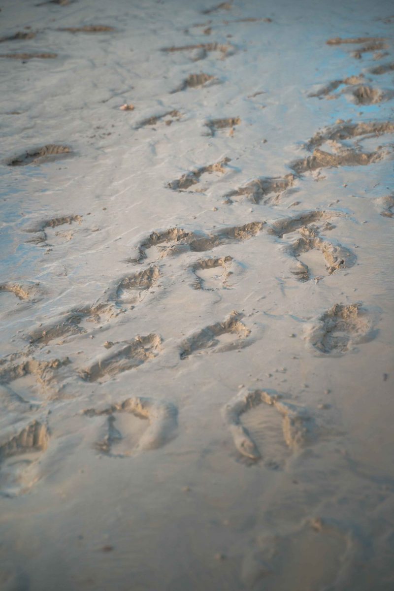 Empreintes de pas sur le sable