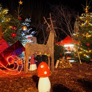 Les animations et marchés de Noël 2025