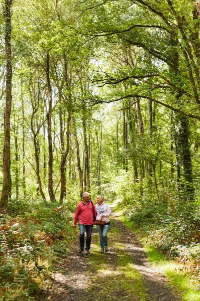 Le Bois d’Ardennes