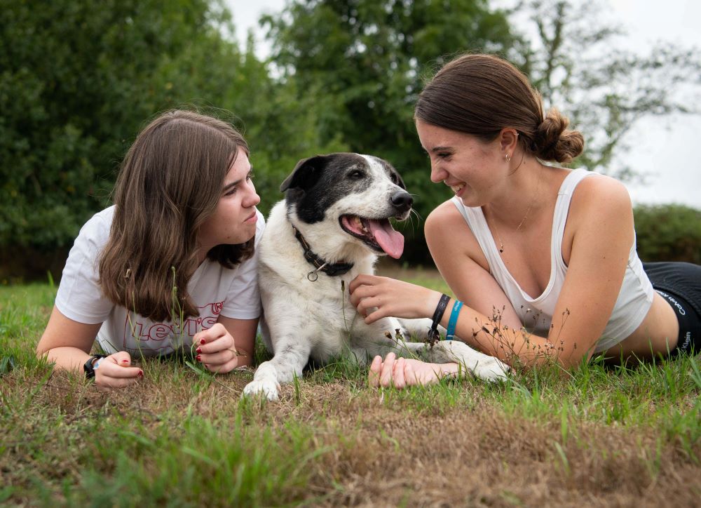 chien en famille - baie du mont saint michel