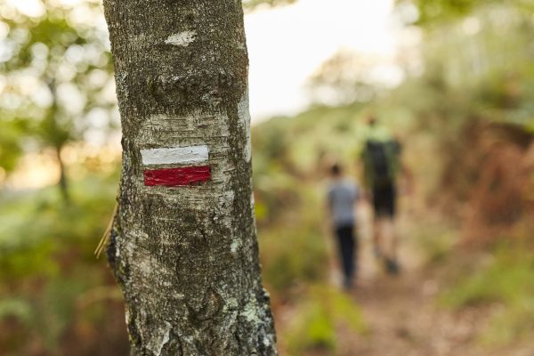 Et si on cheminait au départ du Mont Saint-Michel ?