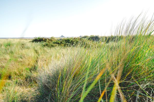 Octobre rose dans la baie du Mont Saint-Michel