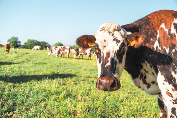 Les acteurs engagés pour un tourisme responsable