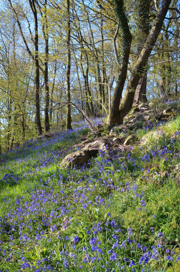 randonnée à Mortain