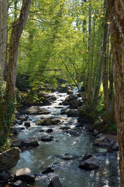 Balade au grand air en mai : les cascades de Mortain