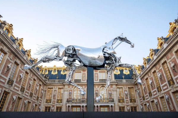 Zeus fait étape au Mont Saint-Michel cet été