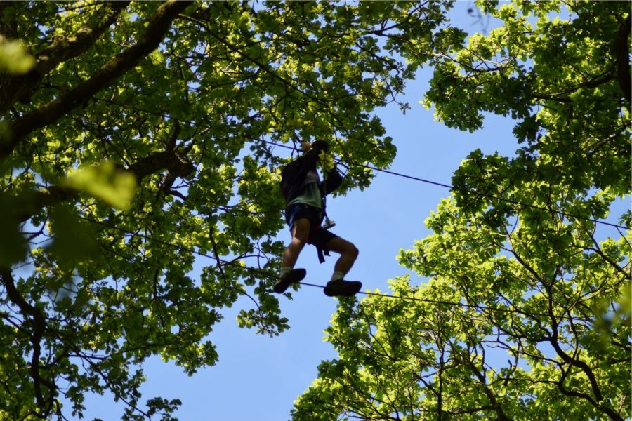 Parc des grands chenes parc accrobranches ille et vilaine