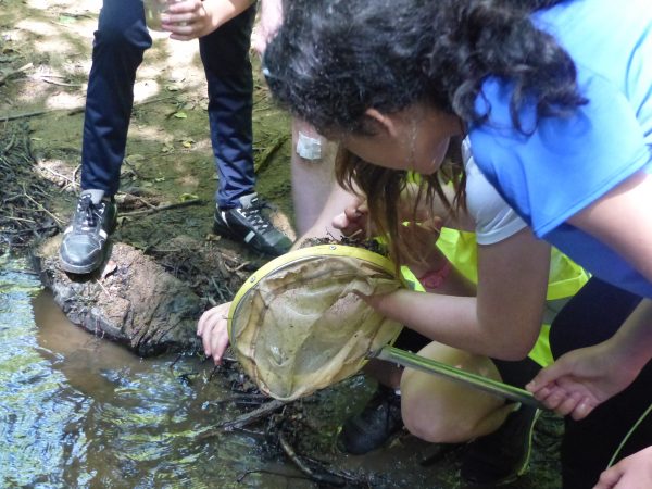 Découverte de la faune aquatique