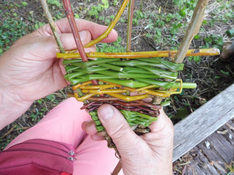 2022-02-08-Vannerie-Credit-Bourrache-et-Coquelicot-3