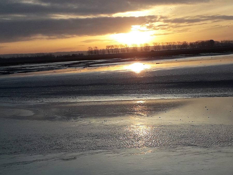 3-pierre-baudry-guide-de-la-baie