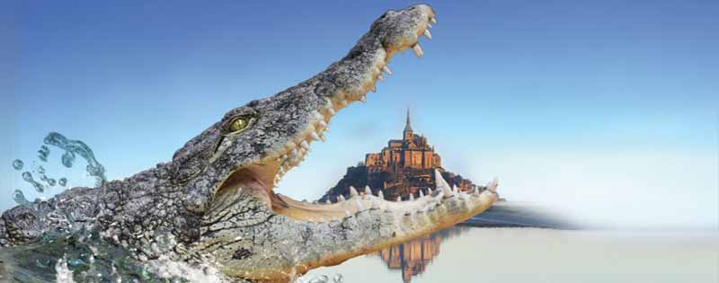 Beauvoir-Alligator-Bay-les-dents-de-la-baie-Alligator-Bay-2