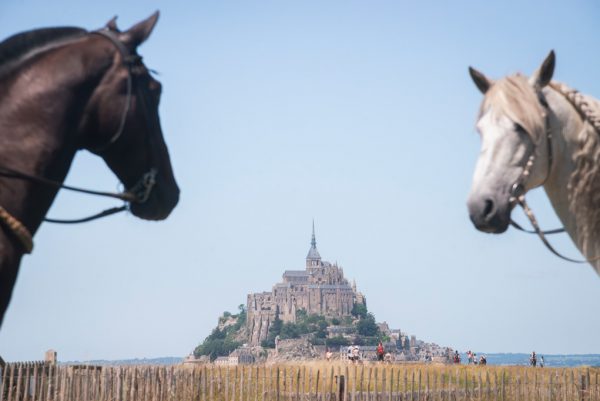 Spectacle équestre « Sõl & Mãni » par Chimères & Singulières