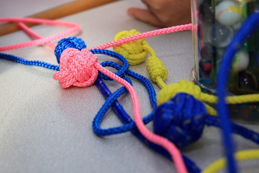 Ecomusee-Fete-Peche-a-Pied-20240908-DDaguierCD50-70.JPG-2000px