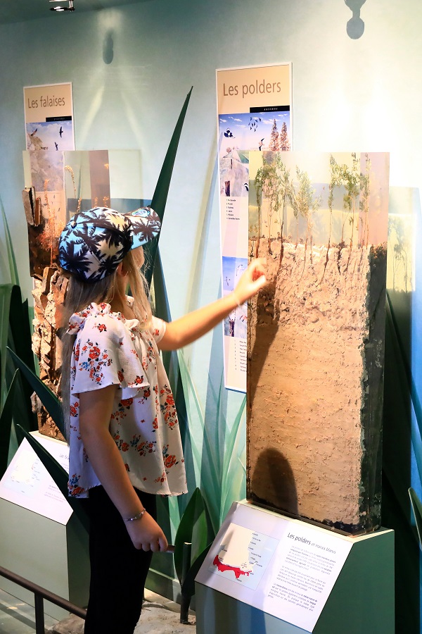 P&rsquo;tite visite sur les espèces discrètes et monde secret