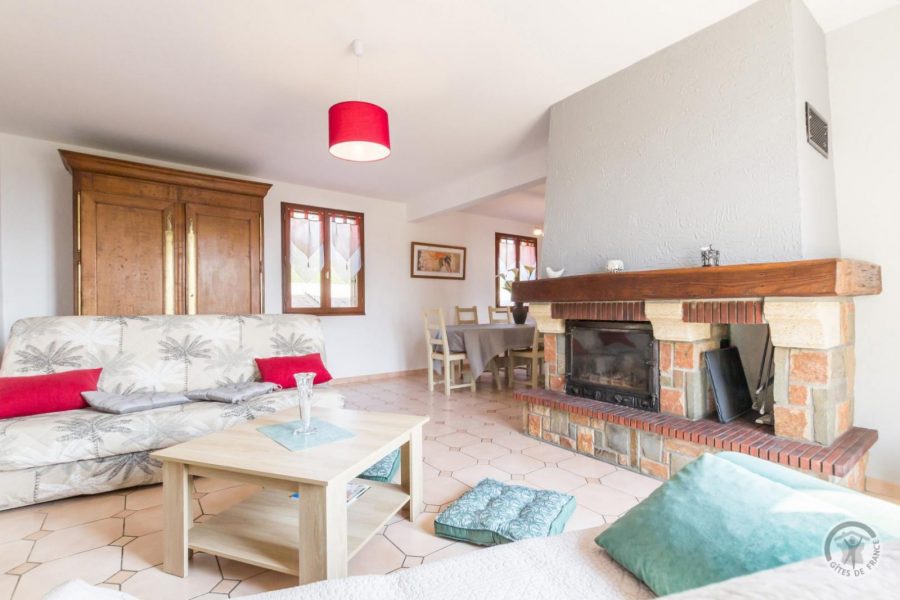 G1029-8493cd27f422486f88a73fa0882cd02a