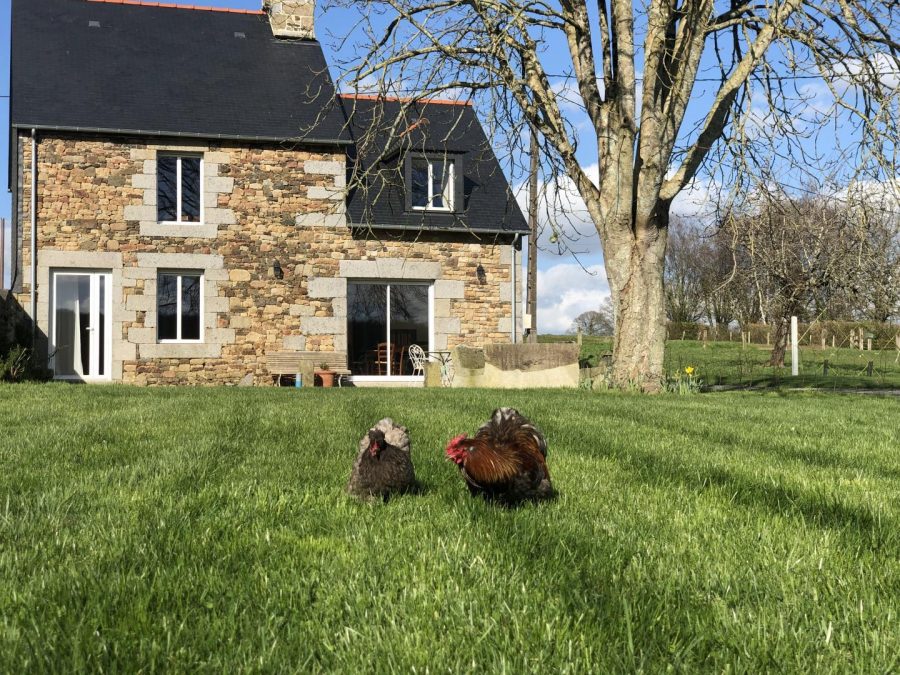 G1133-244093278e294339a990d7edd8f2f8bb