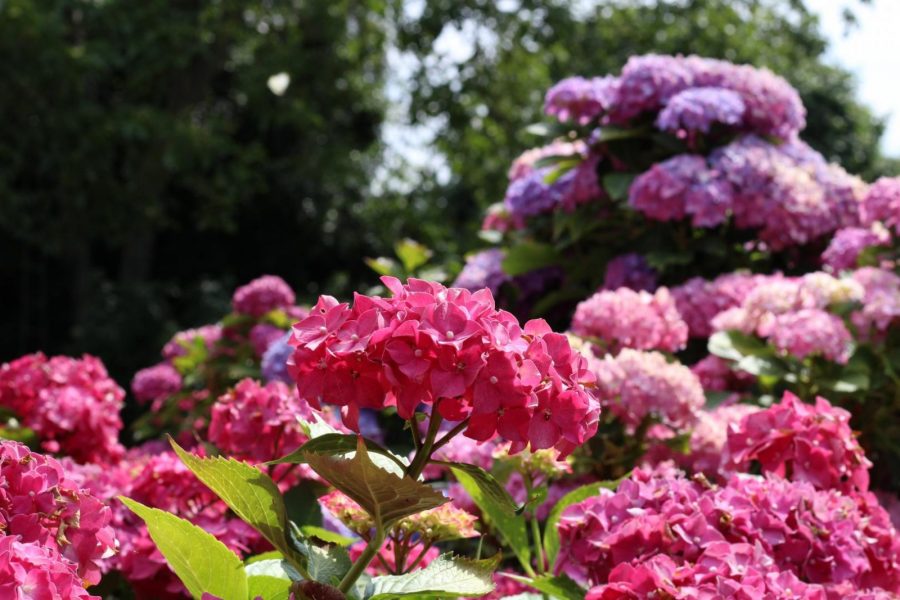 G289-6ecce44fba7a427496f9910b1bd26682