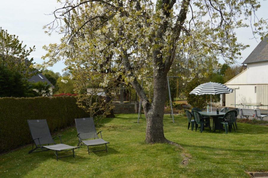 G415-1e465e6a38d64d94991835cc1e04c565