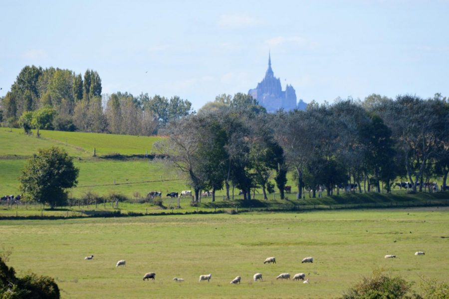 G479-39f2f7e655c84e4da9dfc101356cd36f