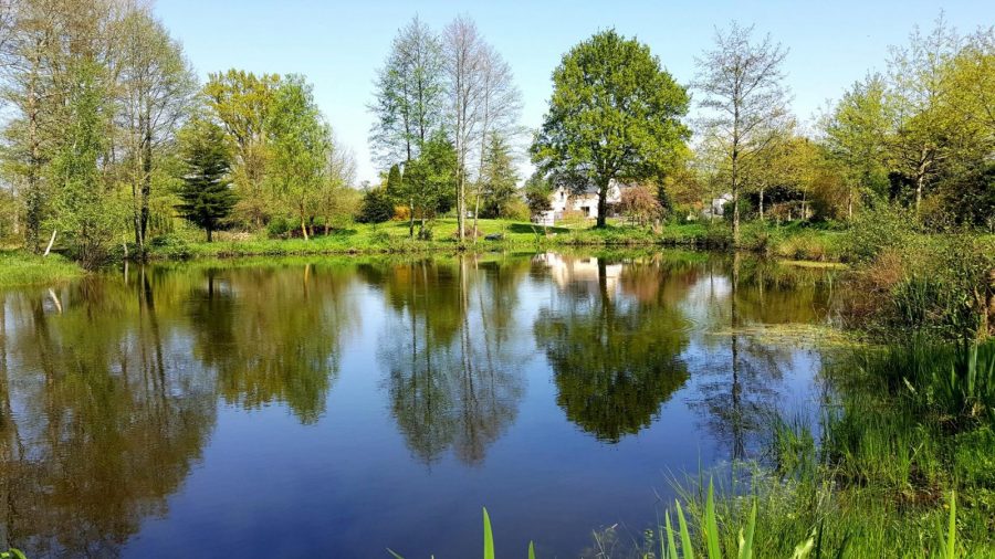 G497-1361d35047fb42feb54490f5b64512af