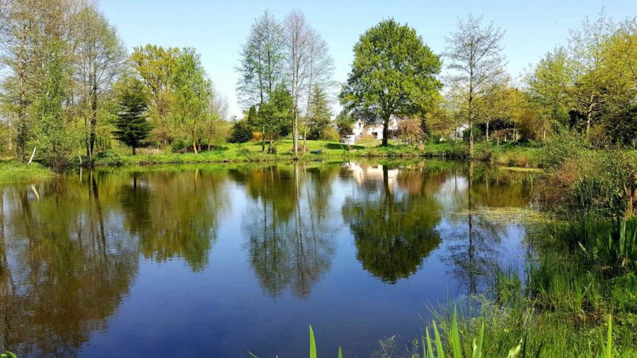 G497-1da86e41bb994f9d80b2098d1ef6c356