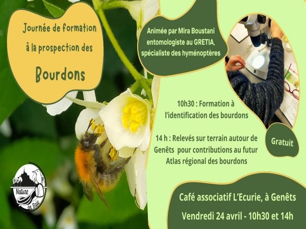 Journée de prospection « Bourdons »