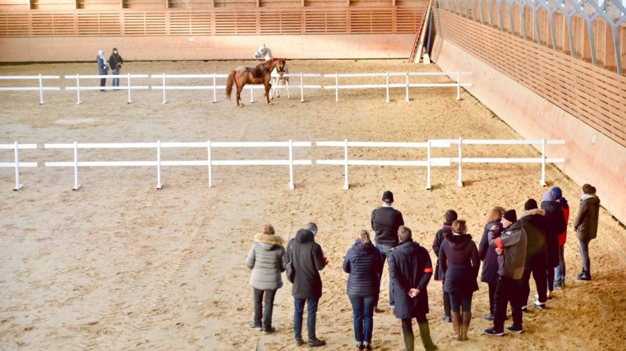 La-Chaise-Baudouin-Equi-Coaching5