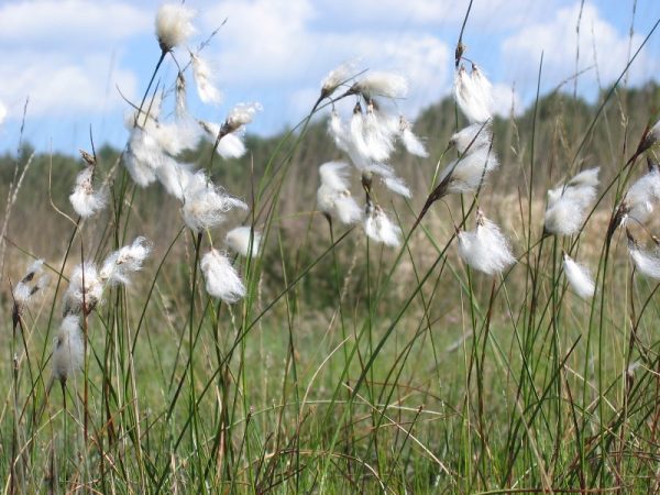 A la découverte du Pré Maudit