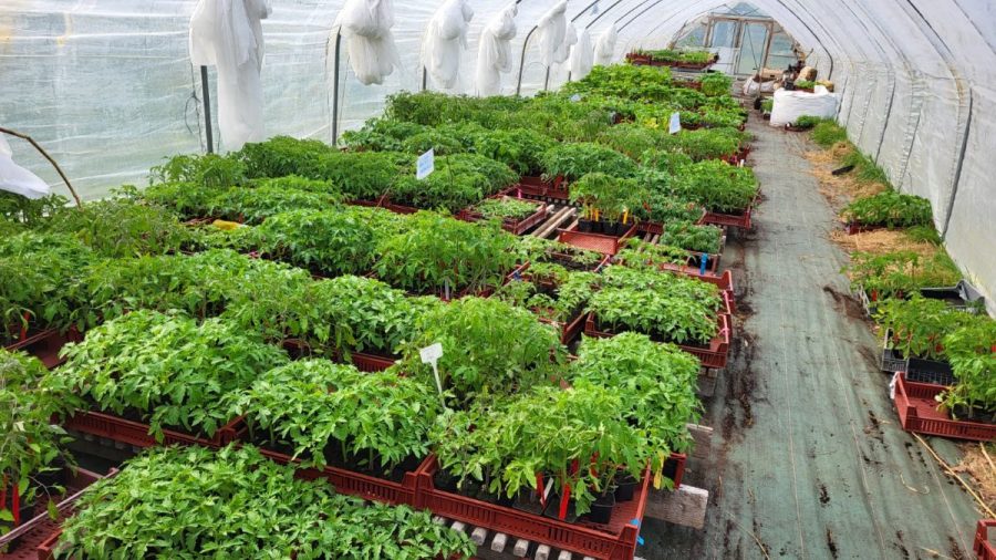 Mortain-Bocage-La-Ferme-Ou-LOn-Seme4