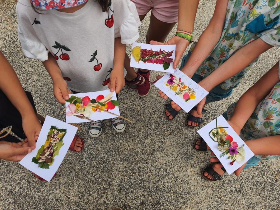 MuseePoire-carte-postale-vegetale-PNRNM-2