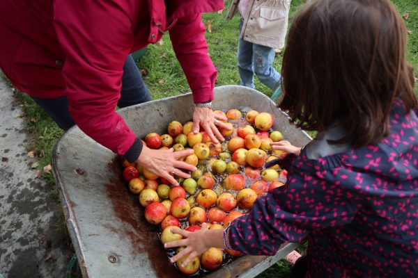 Pressons ! Pressons !