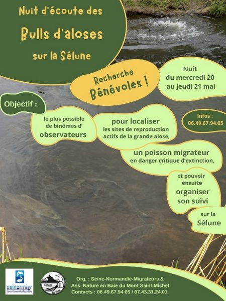 Nuit d&rsquo;écoute des bulls d&rsquo;aloses
