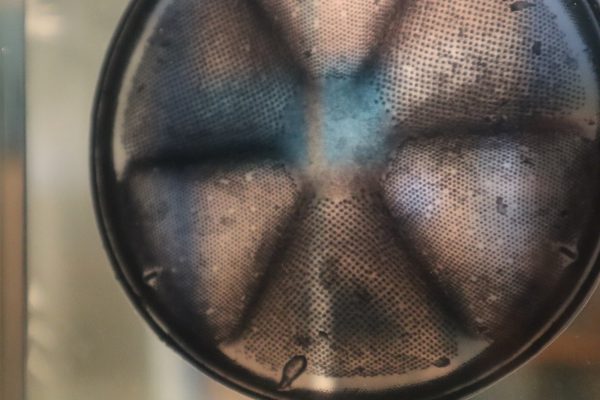 P&rsquo;tite visite sur l&rsquo;infiniment petit