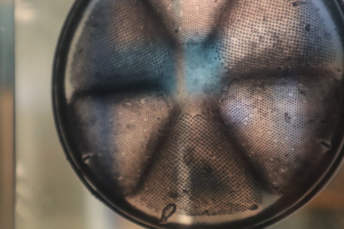 P&rsquo;tite visite sur l&rsquo;infiniment petit