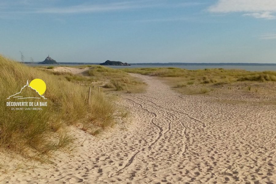 Presentation-Decouverte-de-la-Baie-4