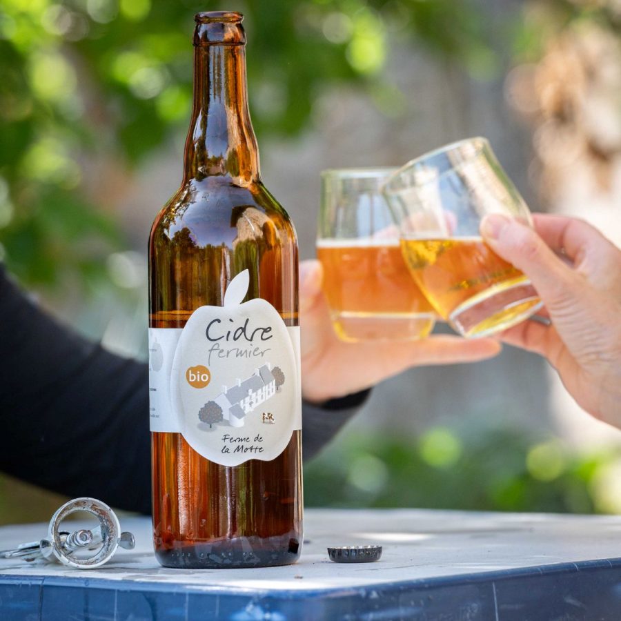 SAINT-CYR-DU-BAILLEUL-Ferme-de-la-Motte3