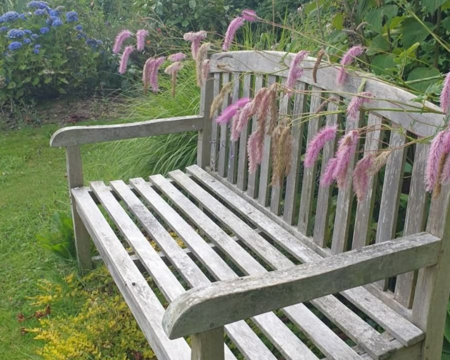 Saint-Georges-de-Rouelley-Le-Jardin-Habite3